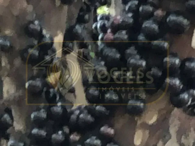 Chácara com 5000m² 1 quarto e 2 banheiros, à venda, no bairro Chácaras Santo Antonio em Santo Antônio de Posse