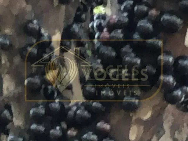 Chácara com 5000m² 1 quarto e 2 banheiros, à venda, no bairro Chácaras Santo Antonio em Santo Antônio de Posse