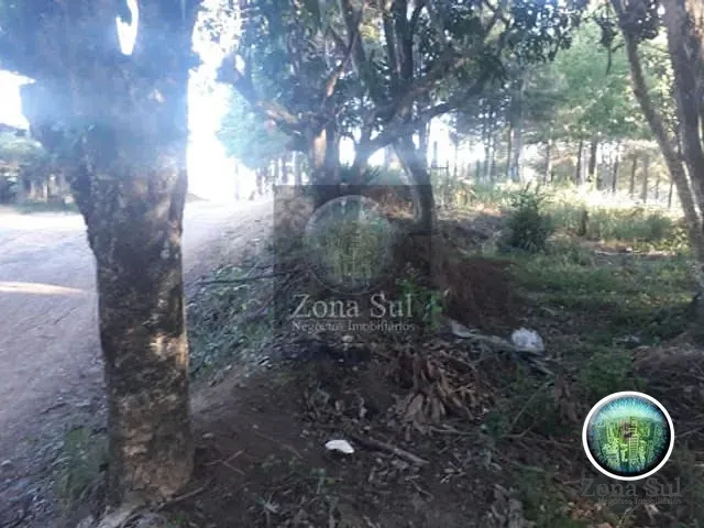 Terreno com 169m², à venda, no bairro Recreio em Ibiúna