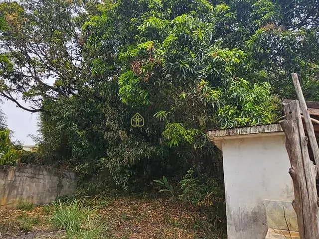 Terreno com 489m², à venda, no bairro Colônia Santo Antônio em Barra Mansa