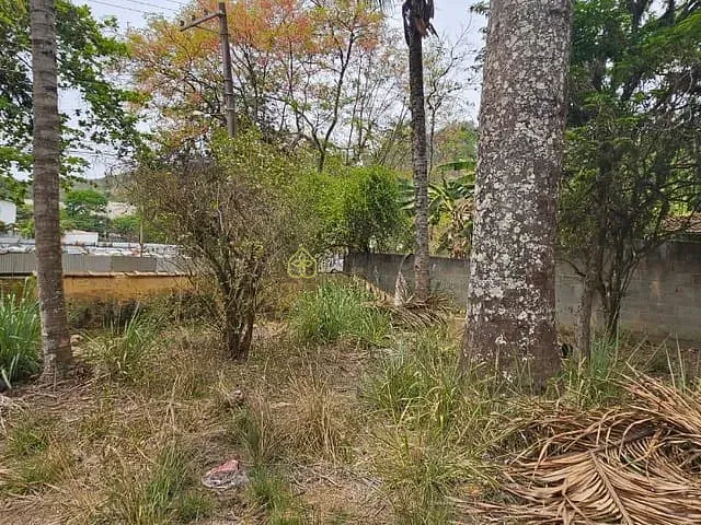 Terreno com 489m², à venda, no bairro Colônia Santo Antônio em Barra Mansa