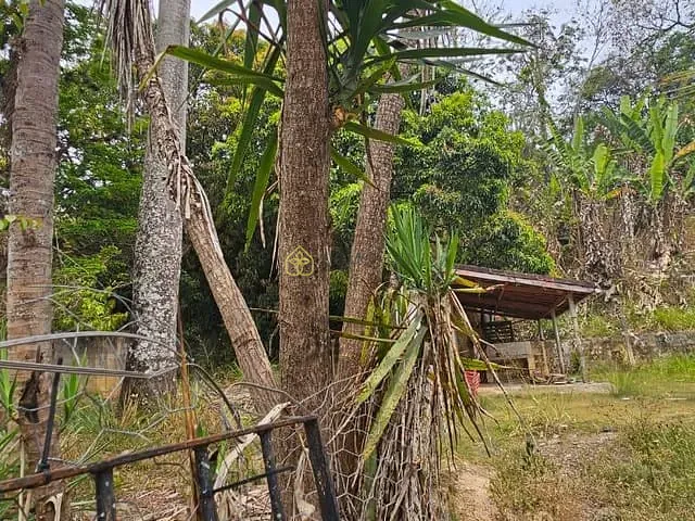 Terreno com 489m², à venda, no bairro Colônia Santo Antônio em Barra Mansa