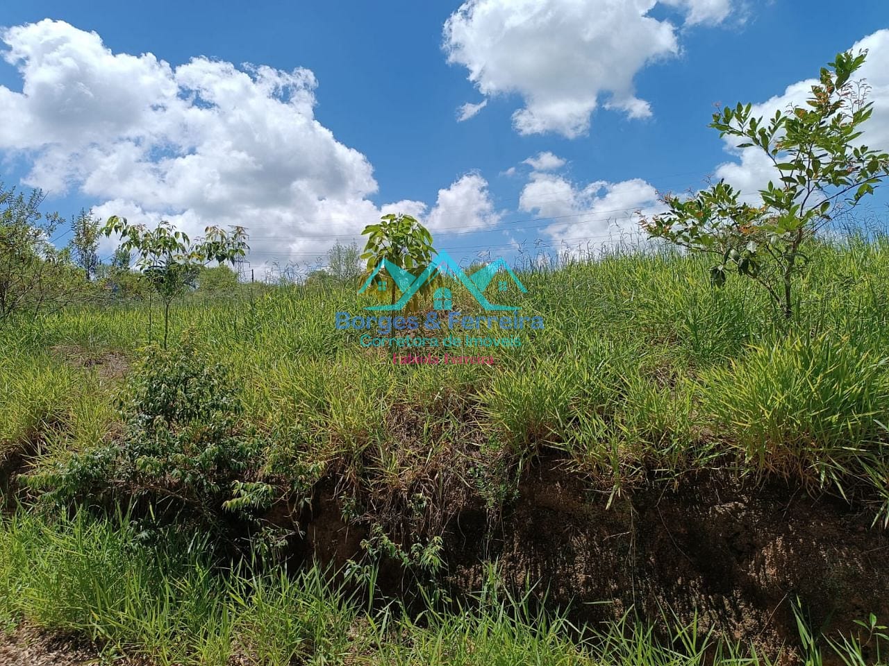 Terreno, 1700 m² - Foto 9