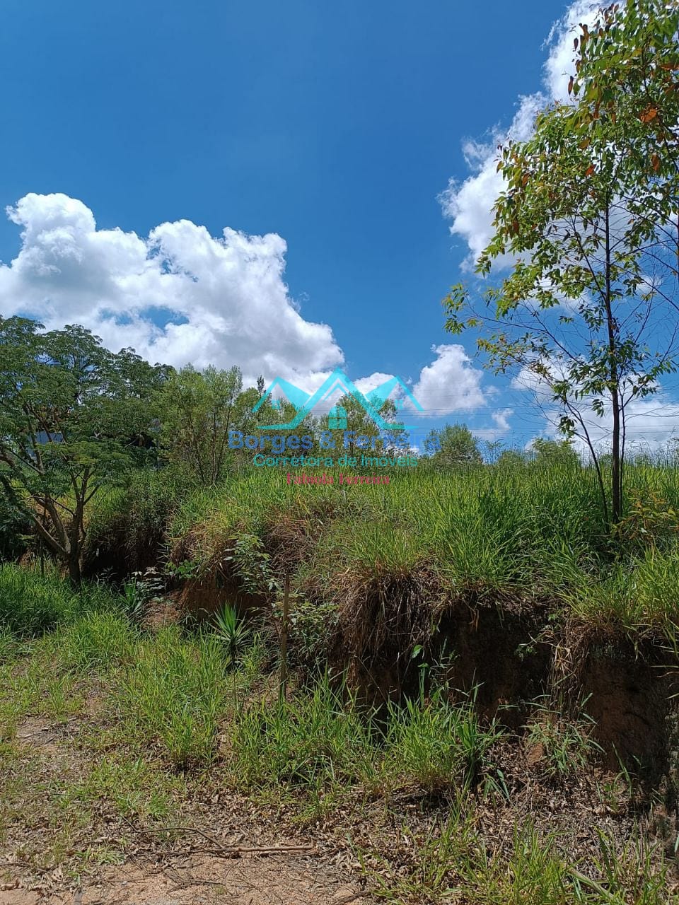 Terreno, 1700 m² - Foto 4