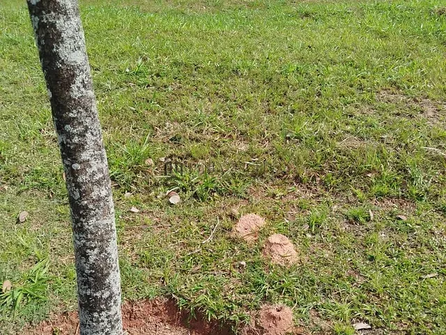 Terreno com 450m², à venda, no bairro Manassu em Jaboatão dos Guararapes