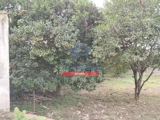 Terreno com 660m², à venda, no bairro Hauer em Curitiba