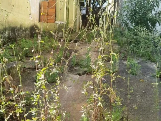 Terreno com 400m², à venda, no bairro Parque das Nações em Santo André