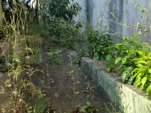 Terreno com 400m², à venda, no bairro Parque das Nações em Santo André