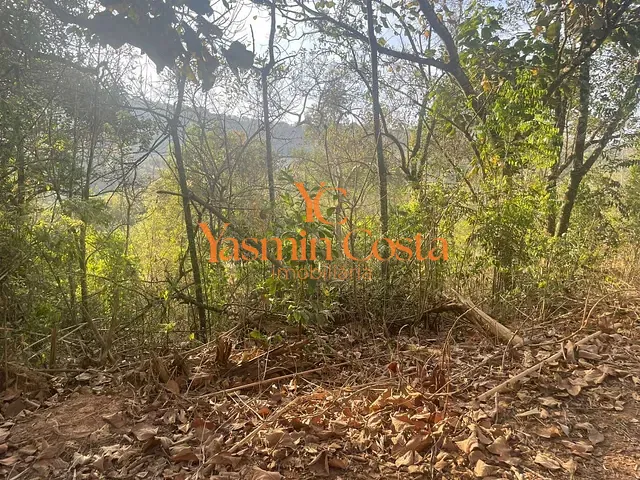 Terreno com 5349m², à venda, no bairro Vazes em Cambuí