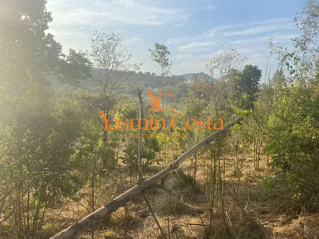 Terreno com 5349m², à venda, no bairro Vazes em Cambuí