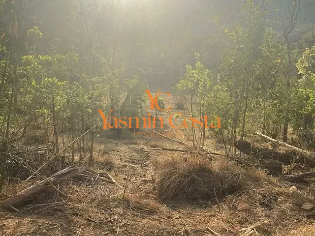 Terreno com 5349m², à venda, no bairro Vazes em Cambuí