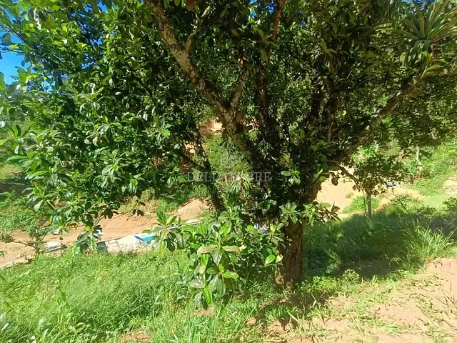 Terreno com 600m², à venda, no bairro Pessegueiros em Teresópolis