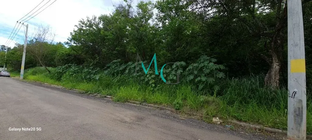 Terreno, 1 hectares - Foto 8