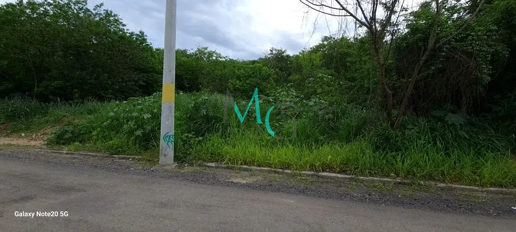 Terreno, 1 hectares - Foto 7