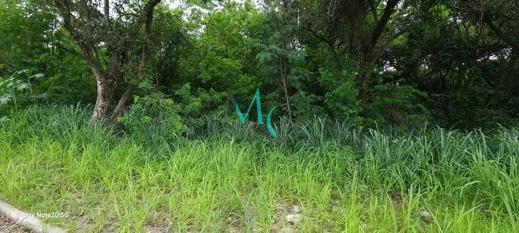 Terreno, 1 hectares - Foto 9