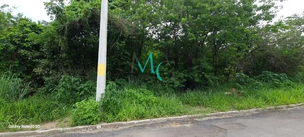 Terreno, 1 hectares - Foto 4
