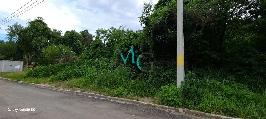 Terreno, 1 hectares - Foto 3