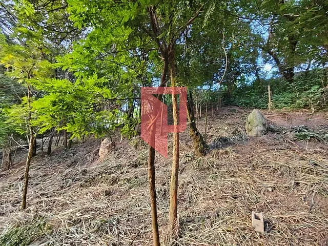 Terreno com 1000m², à venda, no bairro Caiçaras em Belo Horizonte