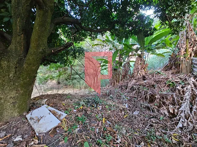 Terreno com 1000m², à venda, no bairro Caiçaras em Belo Horizonte