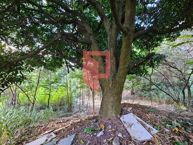 Terreno com 1000m², à venda, no bairro Caiçaras em Belo Horizonte
