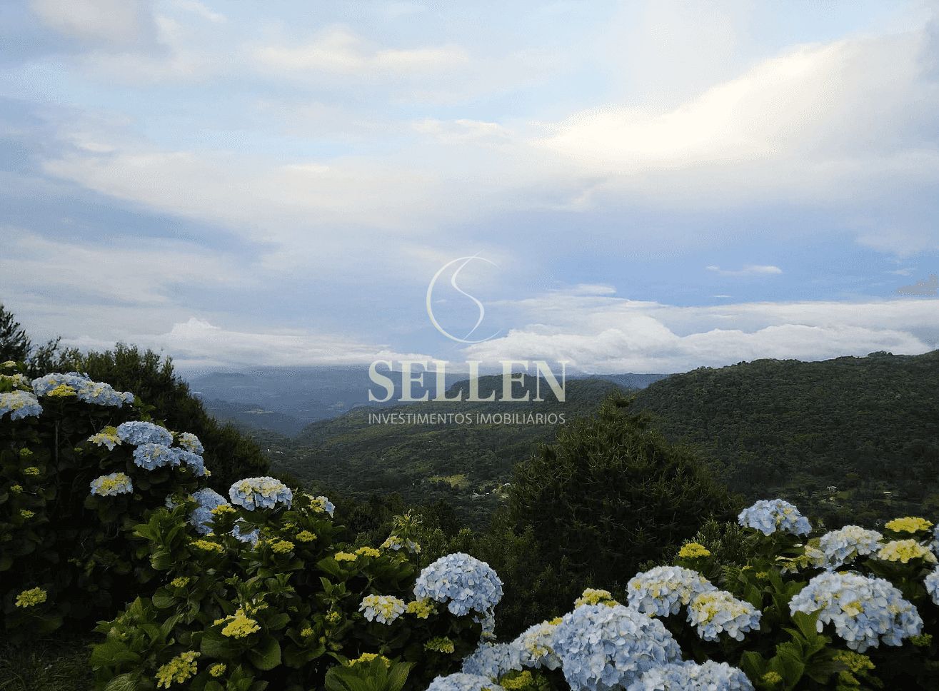 Terreno, 488 m² - Foto 2