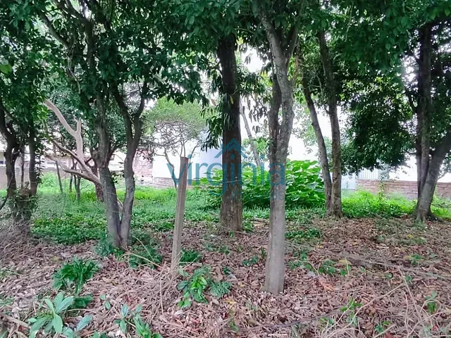 Terreno com 726m², à venda, no bairro Ideal em Novo Hamburgo