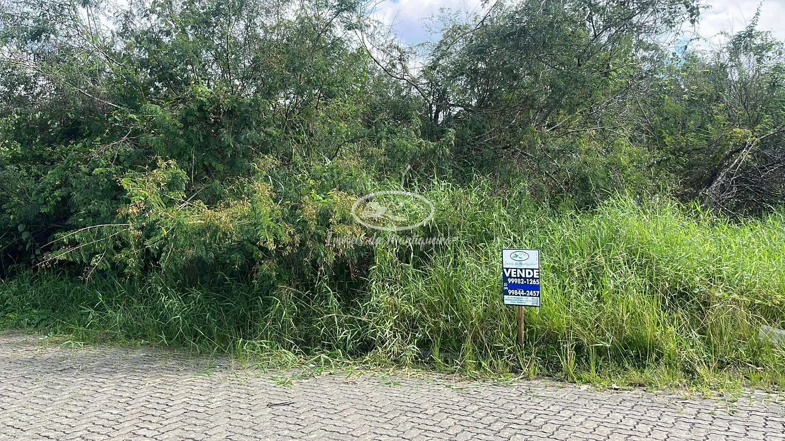 Terreno, 806 m² - Foto 3