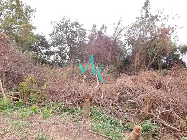 Terreno com 2400m², para alugar, no bairro Campo Grande em Rio de Janeiro
