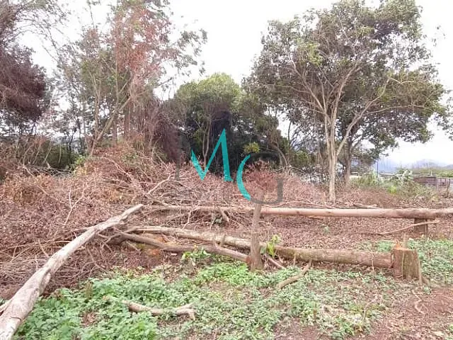 Terreno com 2400m², para alugar, no bairro Campo Grande em Rio de Janeiro