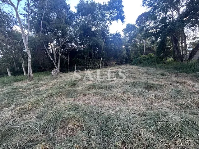 Terreno com 558m², à venda, no bairro Salvaterra em Juiz de Fora