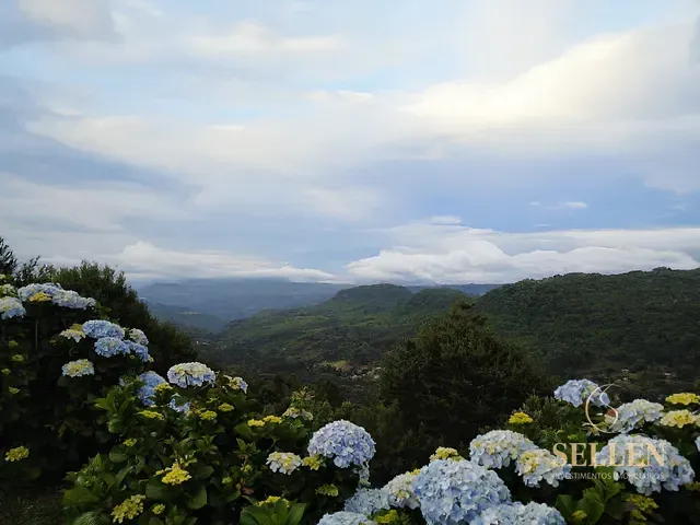Terreno com 1000m², à venda, no bairro Vale dos Pinheiros em Gramado