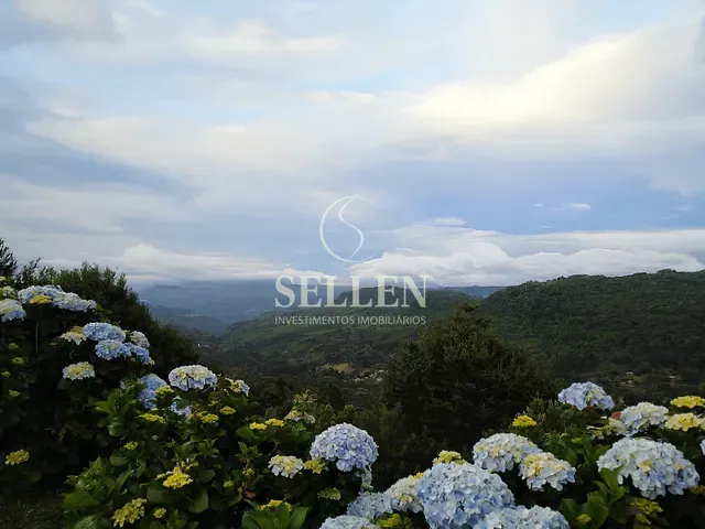 Terreno com 1000m², à venda, no bairro Vale dos Pinheiros em Gramado