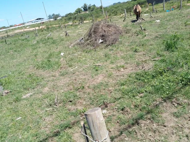 Terreno com 170m², à venda, no bairro Fragata em Pelotas