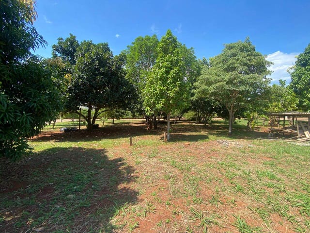 Terreno com 800m², à venda, no bairro Zona rural em Abadiânia