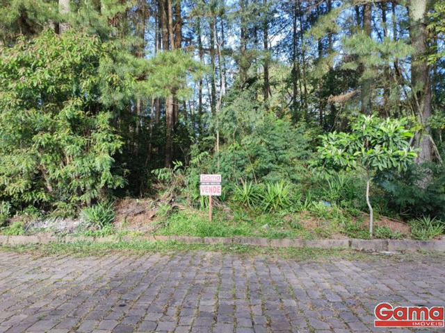 Terreno com 1170m², à venda, no bairro Centro em Nova Prata
