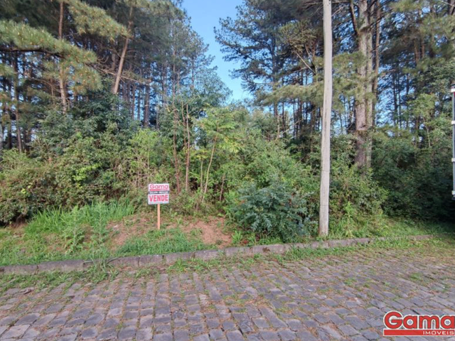 Terreno com 1170m², à venda, no bairro Centro em Nova Prata