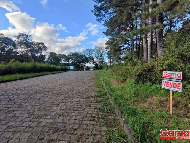 Terreno com 1170m², à venda, no bairro Centro em Nova Prata