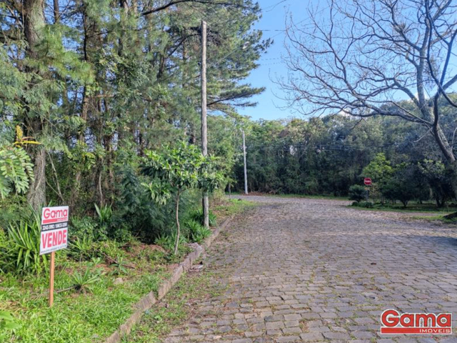 Terreno com 1170m², à venda, no bairro Centro em Nova Prata