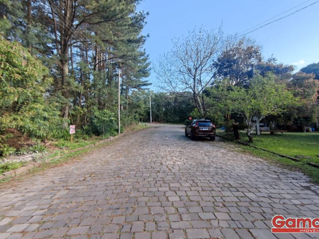 Terreno com 1170m², à venda, no bairro Centro em Nova Prata