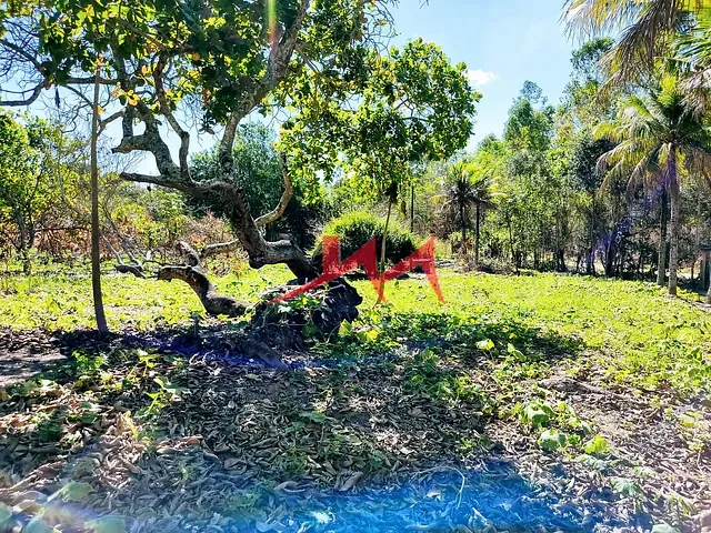 Terreno com 12460m², à venda, no bairro Santa Isabel em São Gonçalo