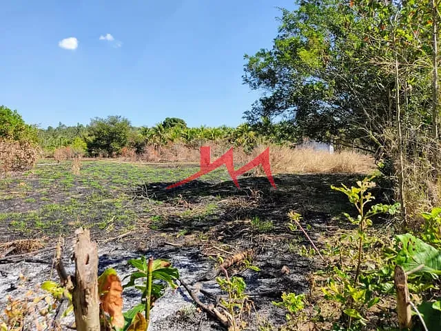 Terreno com 12460m², à venda, no bairro Santa Isabel em São Gonçalo