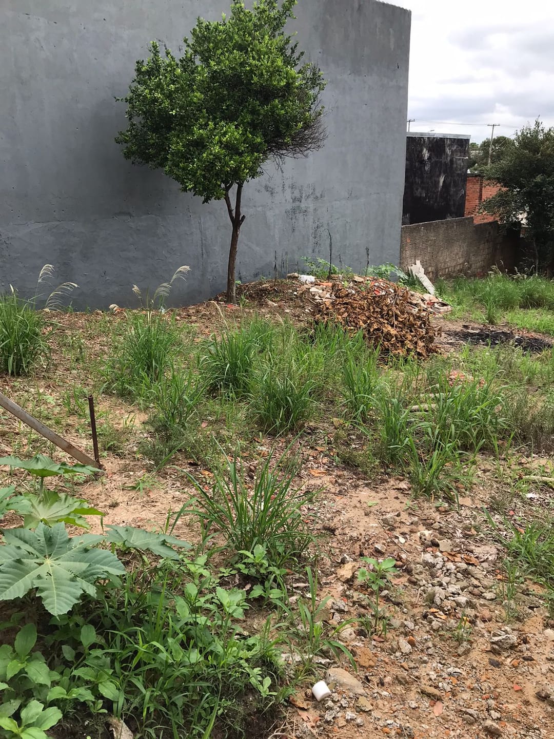 Terreno, 271 m² - Foto 5