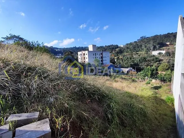 Terreno com 539m², à venda, no bairro Nossa Senhora da Salete em Concórdia