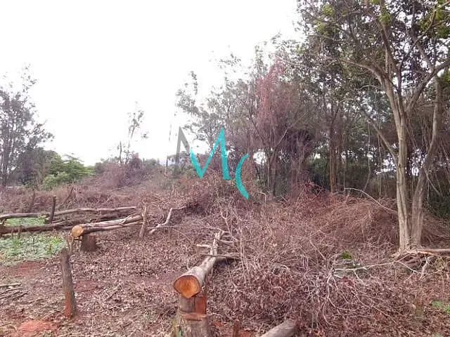 Terreno com 2400m², para alugar, no bairro Campo Grande em Rio de Janeiro