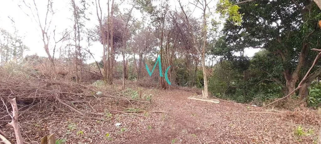Terreno, 2400 m² - Foto 2