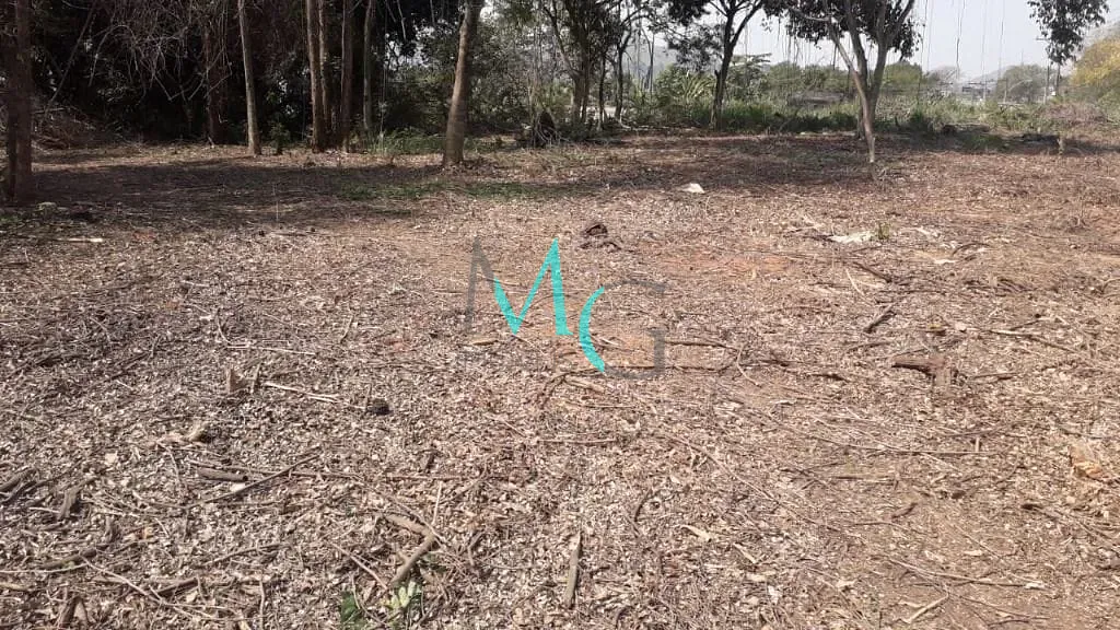 Terreno, 2400 m² - Foto 8
