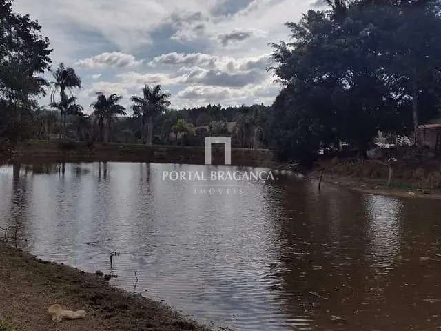 Terreno com 5000m², à venda, no bairro Ponte Alta em Vargem