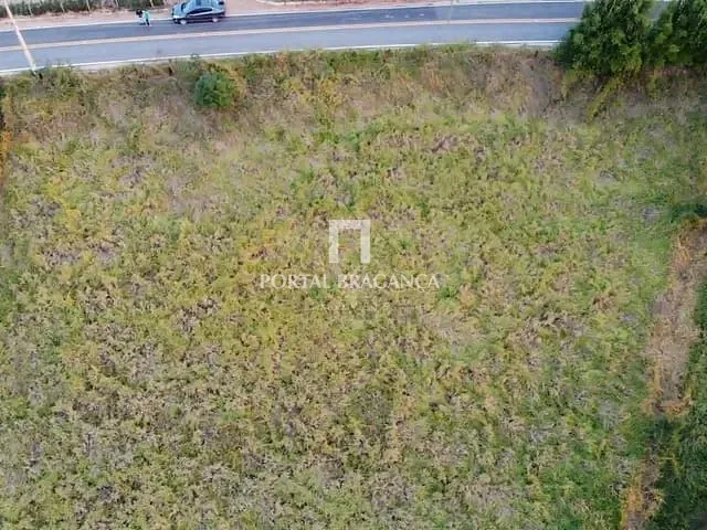 Terreno com 5000m², à venda, no bairro Ponte Alta em Vargem