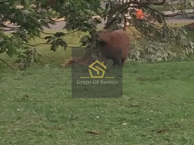 Terreno com 504m², à venda, no bairro Condomínio Reserva dos Vinhedos em Louveira