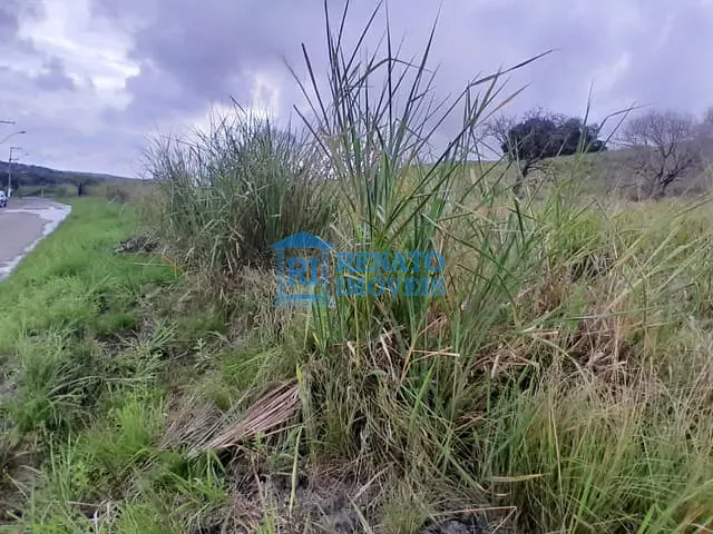 Terreno com 25694m², à venda, no bairro São José do Imbassaí em Maricá